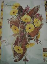 Dům kultury Frenštát pod Radhoštěm