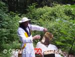 Včelař Josef Vlach při Medobraní u Perníkové chaloupky 2009