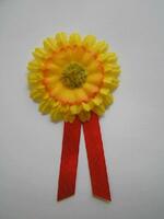 Local TV Příbor, městské televizní vysílání v Příboře