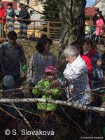 * Z DĚNÍ VE MĚSTĚ